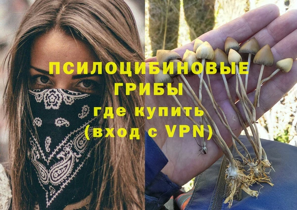 МДПВ Бутурлиновка