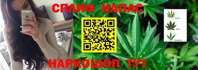 мдпв Волгодонск