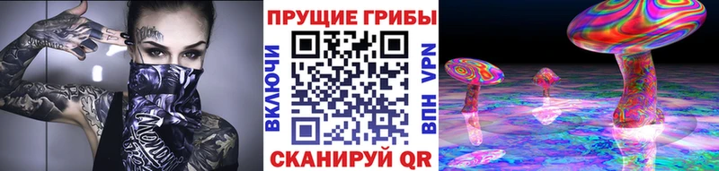 Псилоцибиновые грибы прущие грибы  Заводоуковск 