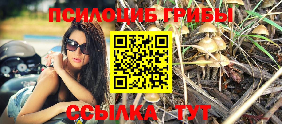 Псилоцибиновые грибы MAGIC MUSHROOMS Заводоуковск
