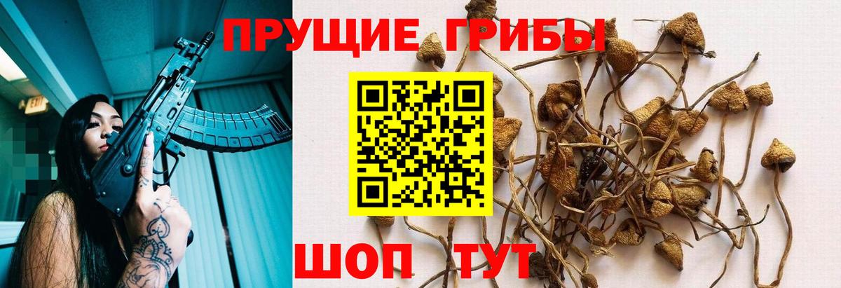 ГАШИШ  Заводоуковск  МАРИХУАНА  Меф  Вход с VPN  A-PVP  МЕФ  Cocaine  Плюхи  МДМА 
