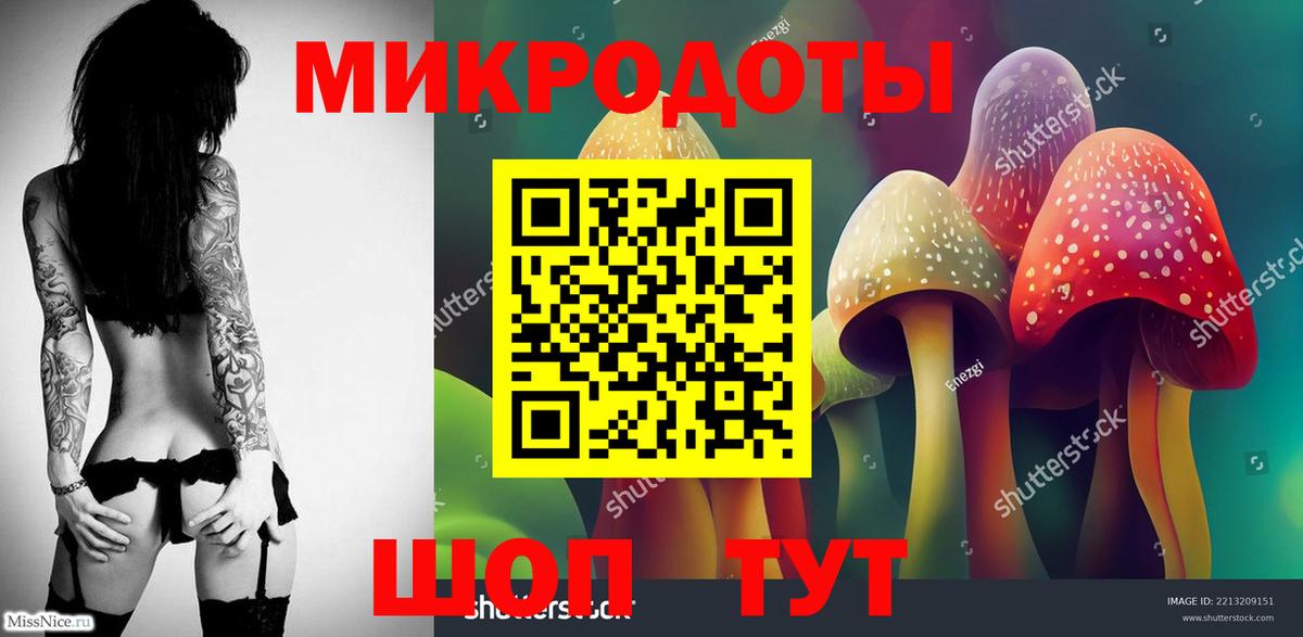 Галлюциногенные грибы Psilocybe  Галлюциногенные грибы Magic Shrooms  Заводоуковск 