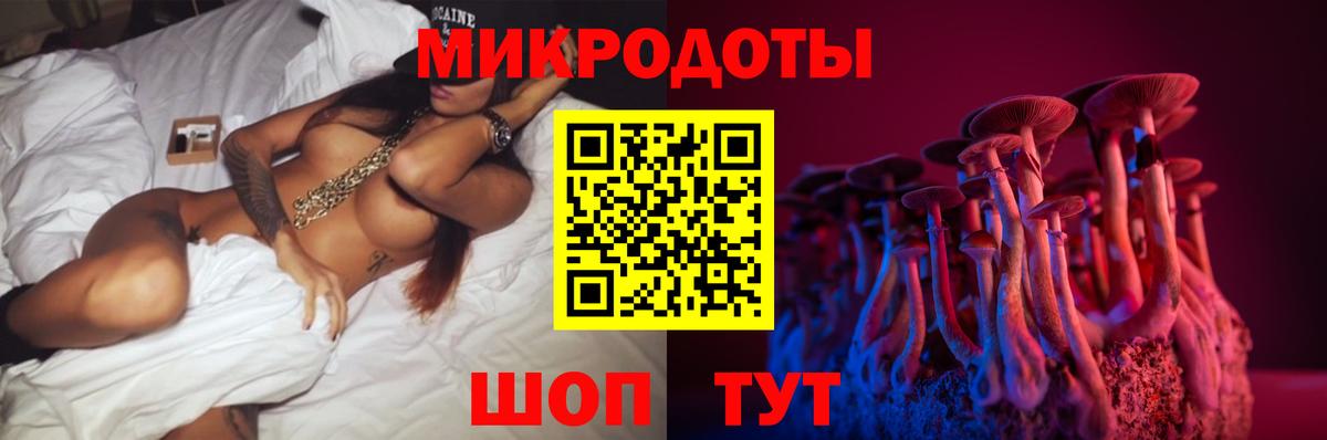 Галлюциногенные грибы прущие грибы  Вход с VPN  Заводоуковск 