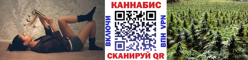 Шишки марихуана марихуана Заводоуковск